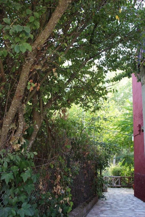 Apartament El Balcon Del Hueznar Cazalla de la Sierra Zewnętrze zdjęcie